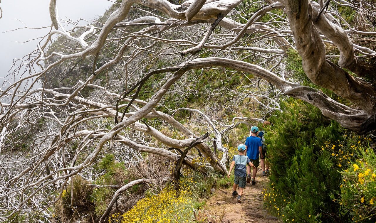 découvrez des aventures en famille inoubliables, pleines de fun, d'exploration et de moments partagés pour tous les âges.