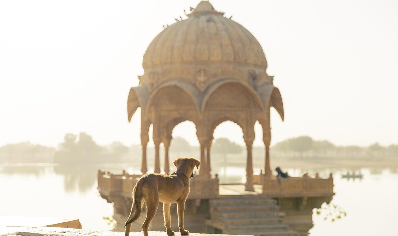 d&eacute;couvrez comment le tourisme en inde s'adapte aux nouvelles tendances pour offrir des exp&eacute;riences uniques et durables aux voyageurs du monde entier.