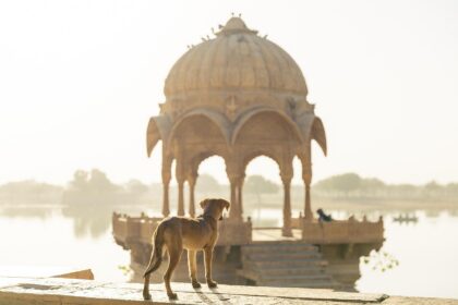 d&eacute;couvrez comment le tourisme en inde s'adapte aux nouvelles tendances pour offrir des exp&eacute;riences uniques et durables aux voyageurs du monde entier.