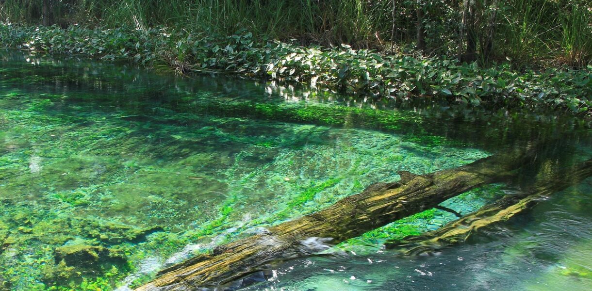 découvrez la situation actuelle au mexique, incluant les aspects économiques, sociaux et politiques pour mieux comprendre le contexte du pays.