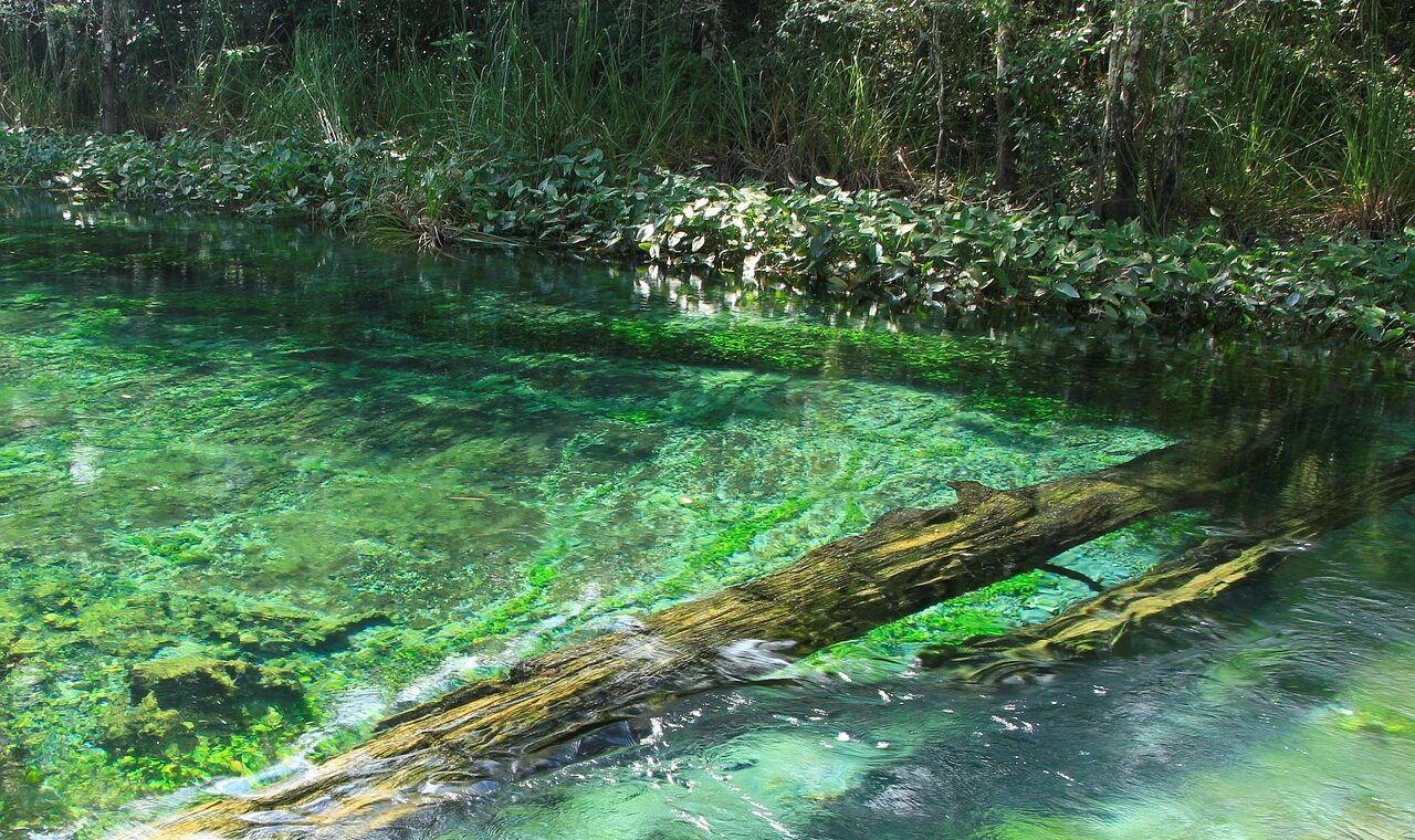 découvrez la situation actuelle au mexique, incluant les aspects économiques, sociaux et politiques pour mieux comprendre le contexte du pays.