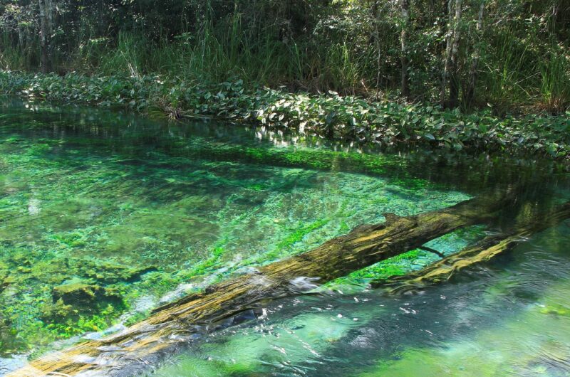 d&eacute;couvrez la situation actuelle au mexique, incluant les aspects &eacute;conomiques, sociaux et politiques pour mieux comprendre le contexte du pays.