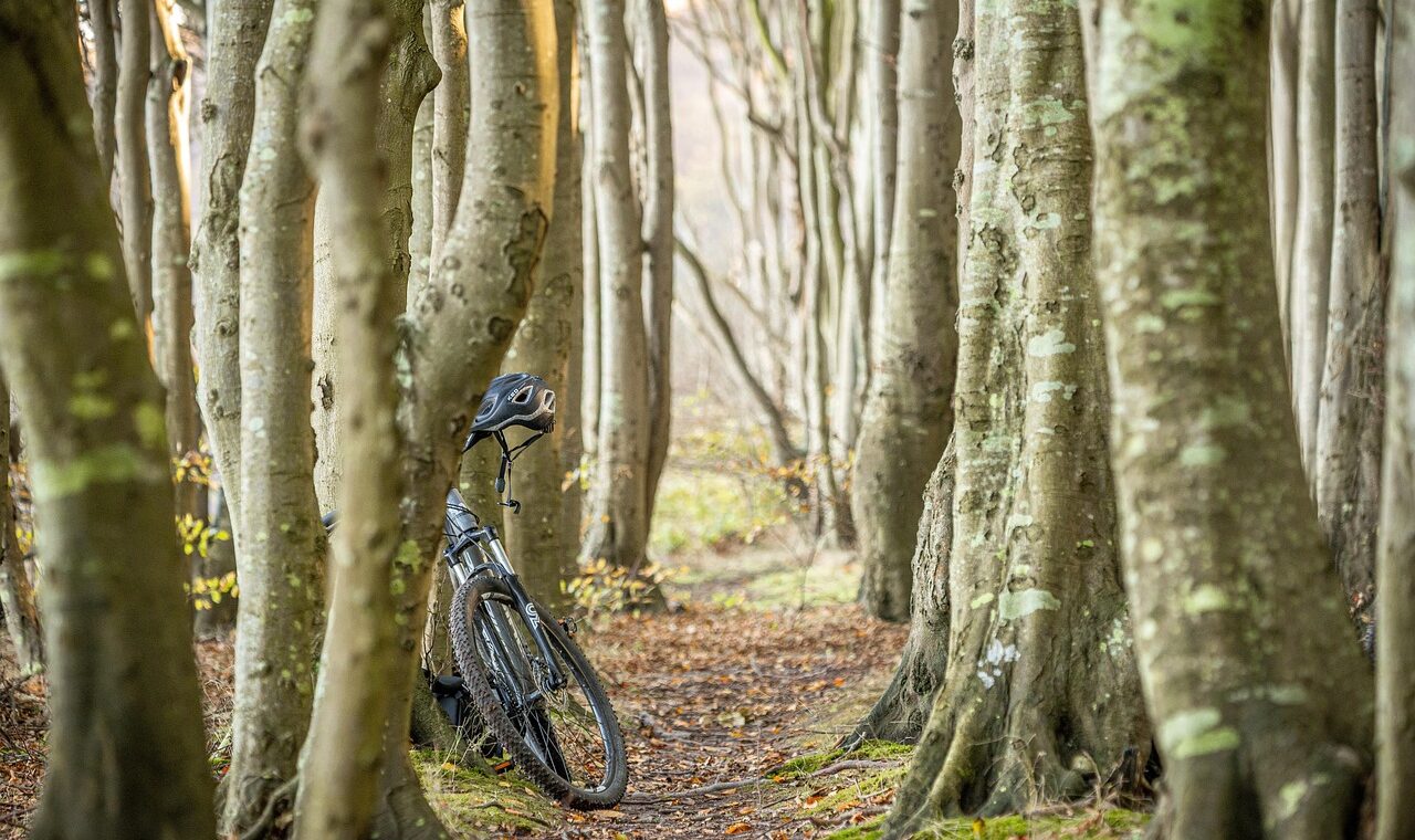d&eacute;couvrez notre sentier panoramique pour v&eacute;lo, offrant des vues spectaculaires et une exp&eacute;rience inoubliable en pleine nature.