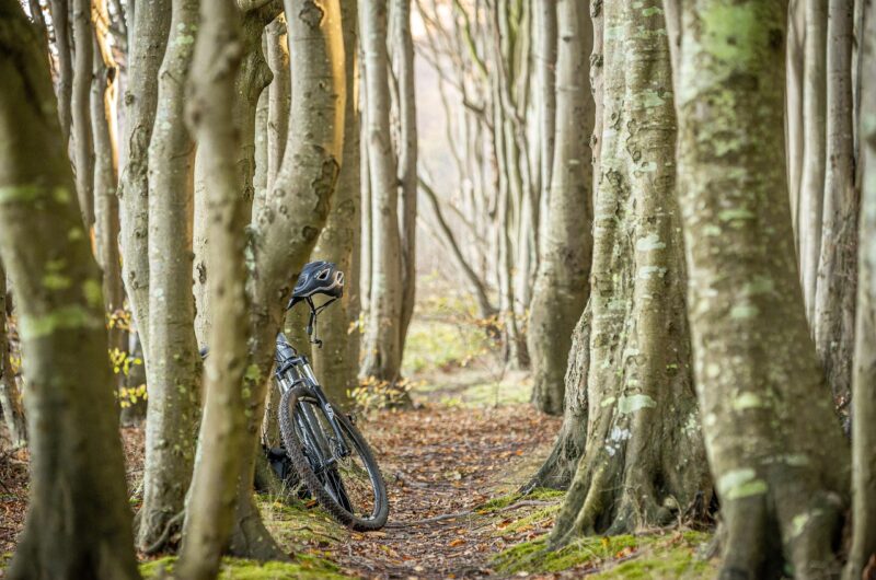d&eacute;couvrez notre sentier panoramique pour v&eacute;lo, offrant des vues spectaculaires et une exp&eacute;rience inoubliable en pleine nature.