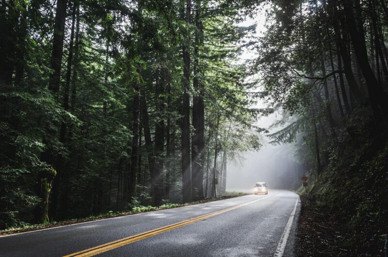 découvrez les meilleures destinations et astuces pour un road trip inoubliable à travers des paysages magnifiques. préparez votre aventure sur la route dès aujourd'hui !