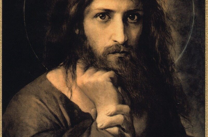 d&eacute;couvrez 'savior', une &oelig;uvre captivante m&ecirc;lant suspense et &eacute;motion, qui vous tiendra en haleine du d&eacute;but &agrave; la fin.