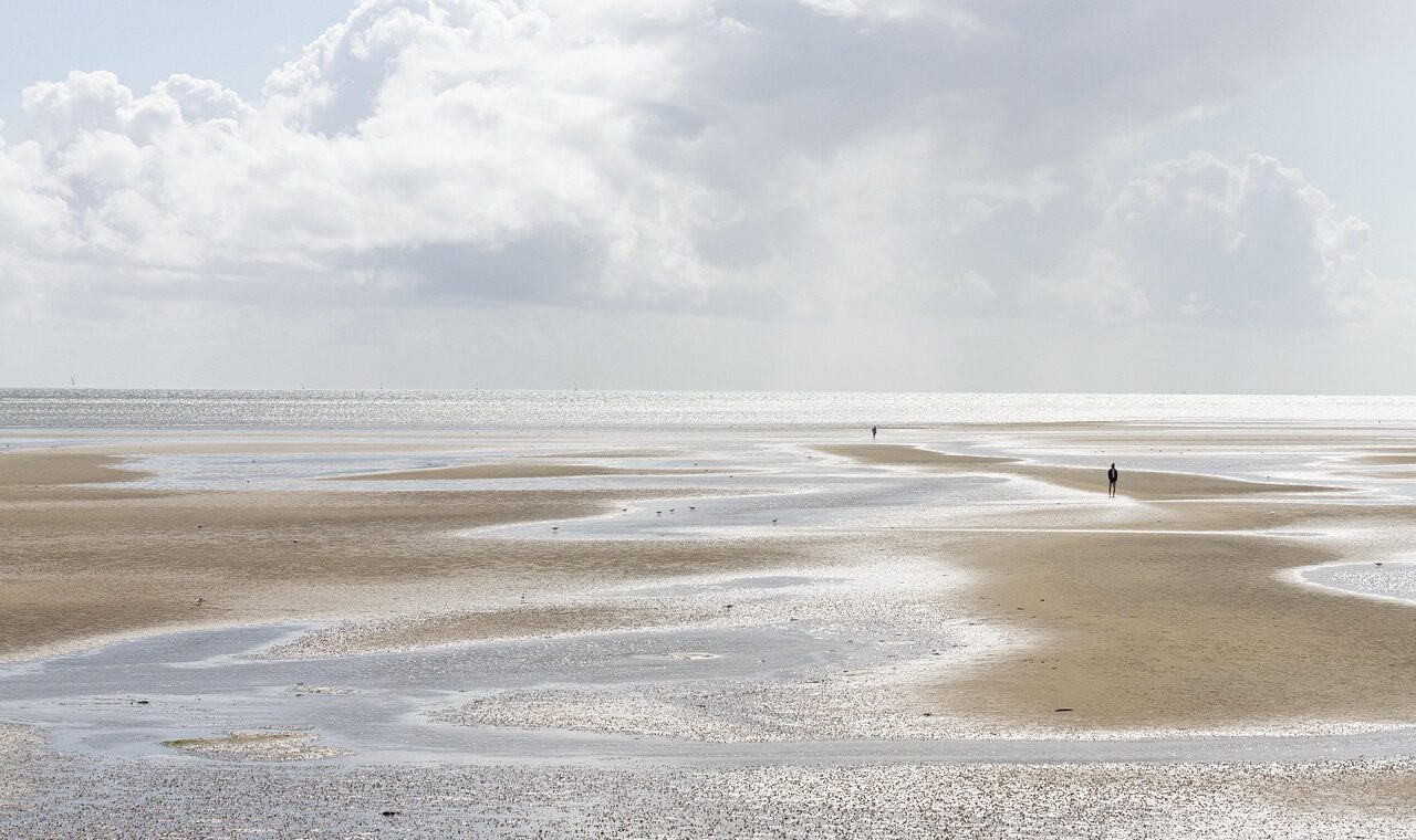 d&eacute;couvrez les promenades le long des mar&eacute;es avec tidal walks, une exp&eacute;rience unique pour explorer les paysages c&ocirc;tiers et observer la nature.