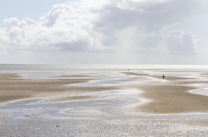 découvrez les promenades le long des marées avec tidal walks, une expérience unique pour explorer les paysages côtiers et observer la nature.
