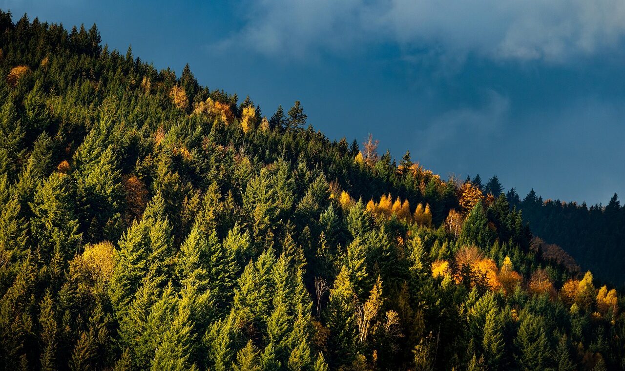 d&eacute;couvrez les meilleures destinations, conseils et astuces pour un tourisme inoubliable &agrave; travers le monde.