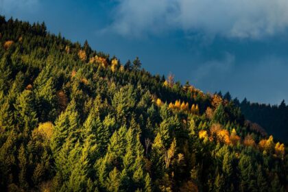 d&eacute;couvrez les meilleures destinations, conseils et astuces pour un tourisme inoubliable &agrave; travers le monde.