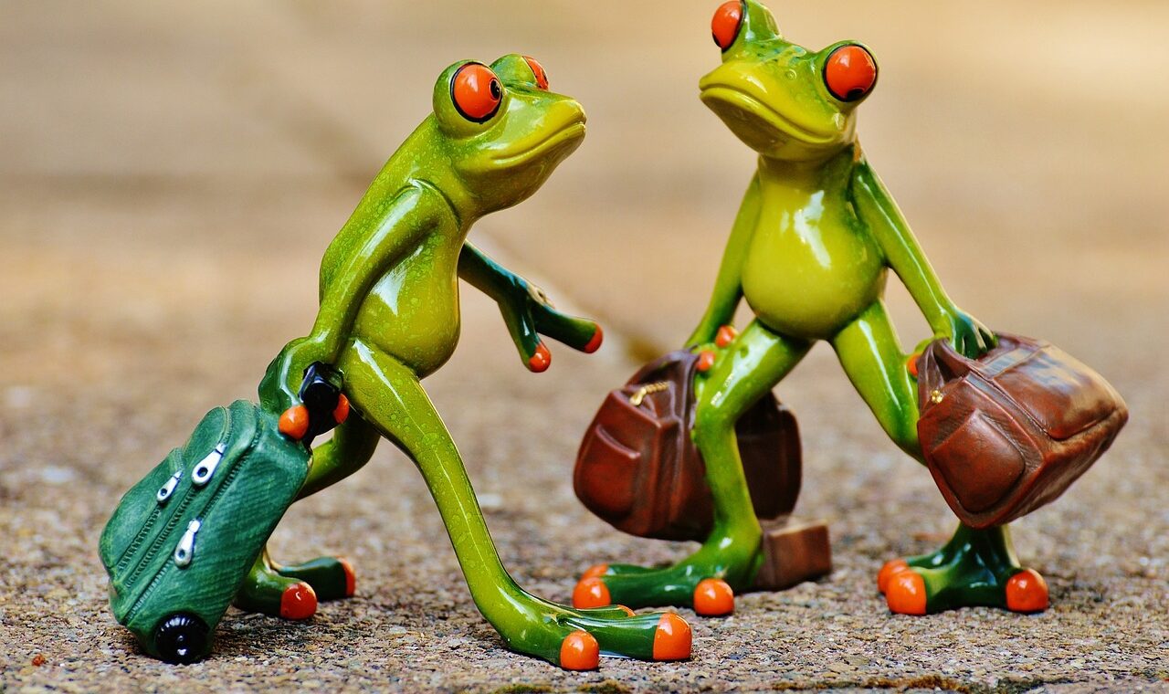 découvrez des conseils, astuces et destinations incontournables pour vos voyages. préparez votre prochaine aventure avec nos guides complets et inspirants.