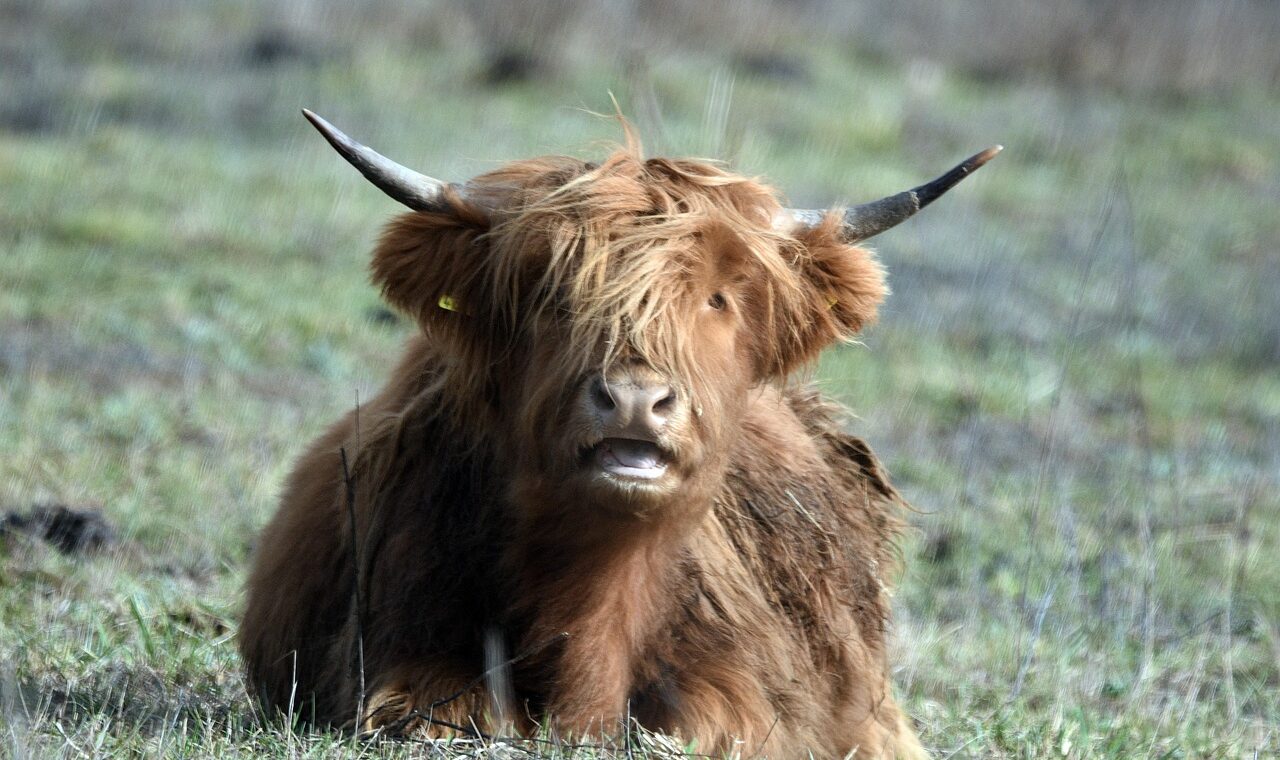 d&eacute;couvrez l'agritourisme : une exp&eacute;rience authentique alliant nature, agriculture et tourisme pour des s&eacute;jours enrichissants &agrave; la ferme.
