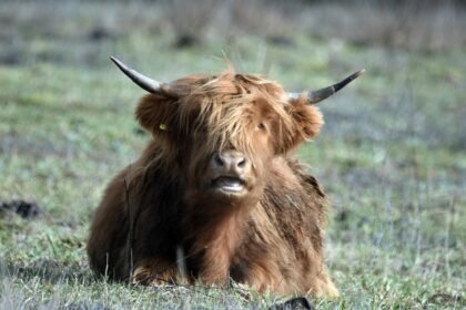 d&eacute;couvrez l'agritourisme : une exp&eacute;rience authentique alliant nature, agriculture et tourisme pour des s&eacute;jours enrichissants &agrave; la ferme.