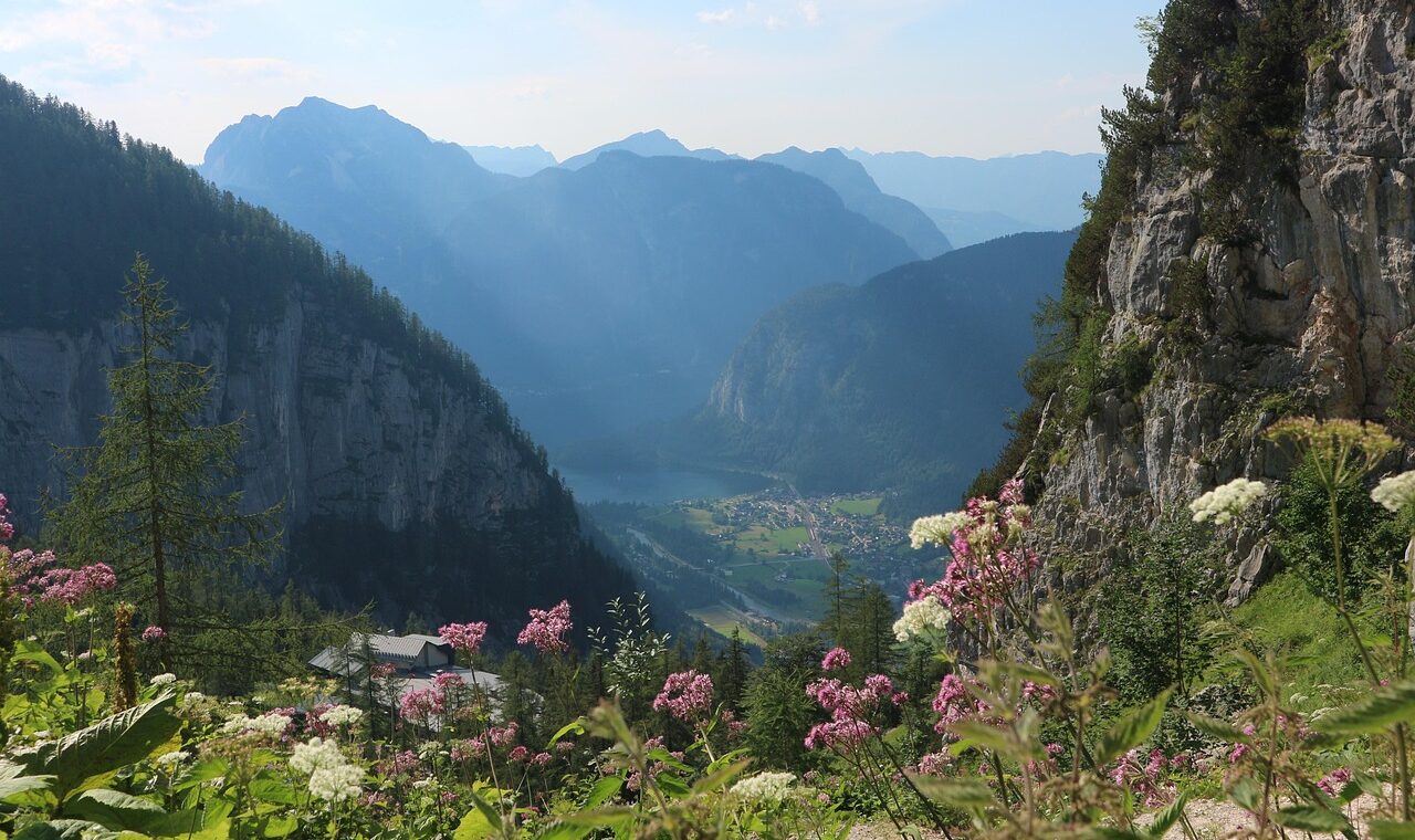 d&eacute;couvrez l'art de la gastronomie alpine, alliant saveurs authentiques, produits locaux et traditions culinaires des montagnes.