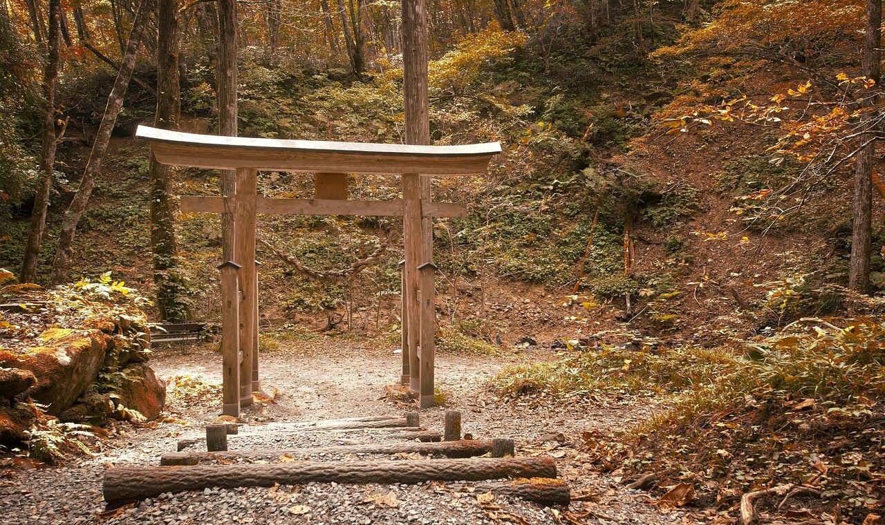 d&eacute;couvrez la programmation riche et vari&eacute;e de la saison culturelle : spectacles, expositions, concerts et &eacute;v&eacute;nements pour tous les passionn&eacute;s d'art et de culture.