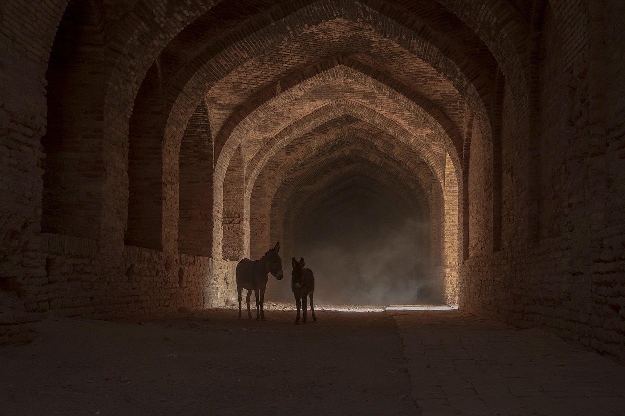 d&eacute;couvrez tout sur l'&acirc;ne : ses caract&eacute;ristiques, son habitat, son r&ocirc;le dans l'agriculture et son importance culturelle &agrave; travers le monde.