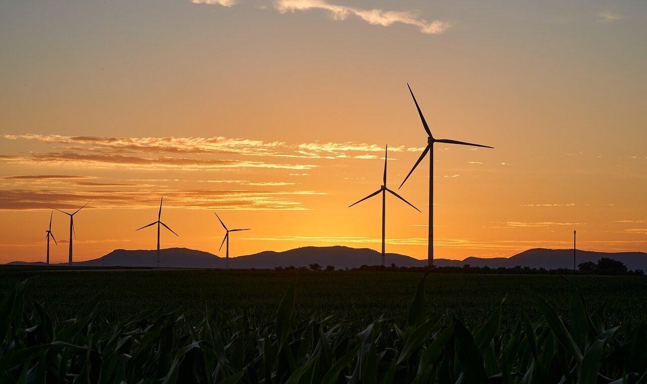 d&eacute;couvrez eco farm, votre ferme &eacute;cologique d&eacute;di&eacute;e &agrave; une agriculture durable et respectueuse de l'environnement. produits frais, naturels et locaux pour une alimentation saine.
