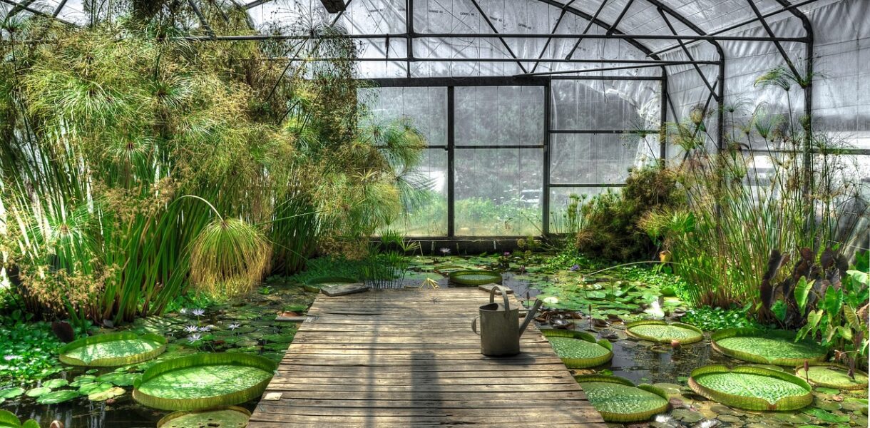 d&eacute;couvrez notre serre exotique, id&eacute;ale pour cultiver et prot&eacute;ger vos plantes tropicales toute l'ann&eacute;e dans un environnement optimal.