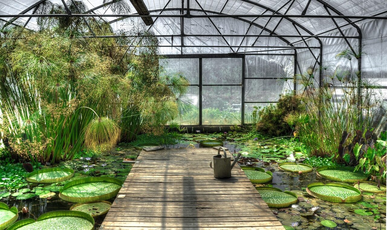 d&eacute;couvrez notre serre exotique, id&eacute;ale pour cultiver et prot&eacute;ger vos plantes tropicales toute l'ann&eacute;e dans un environnement optimal.