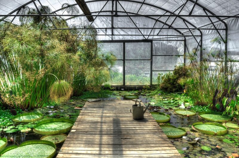 d&eacute;couvrez notre serre exotique, id&eacute;ale pour cultiver et prot&eacute;ger vos plantes tropicales toute l'ann&eacute;e dans un environnement optimal.