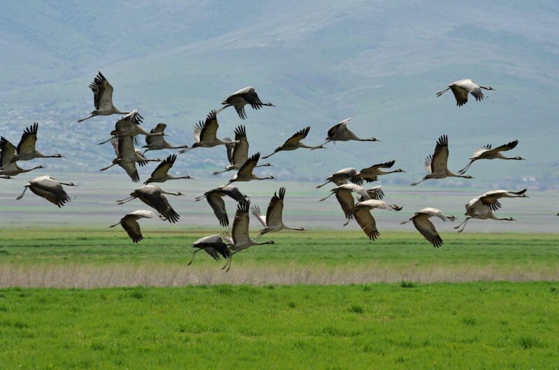 découvrez tout ce qu'il faut savoir sur l'expatriation : conseils, démarches, accompagnement et témoignages pour réussir votre installation à l'étranger.