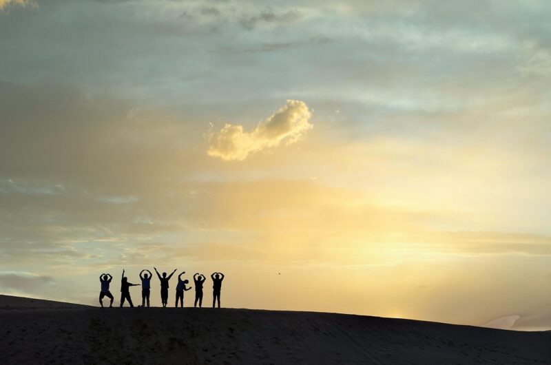 d&eacute;couvrez floral getaways, votre escapade id&eacute;ale entour&eacute;e de magnifiques paysages floraux pour une exp&eacute;rience relaxante et m&eacute;morable.