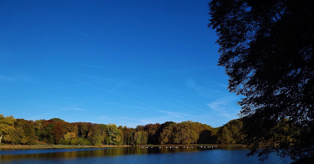 d&eacute;couvrez floral getaways, votre escapade id&eacute;ale au c&oelig;ur de paysages fleuris et enchanteurs pour un s&eacute;jour relaxant et naturel.
