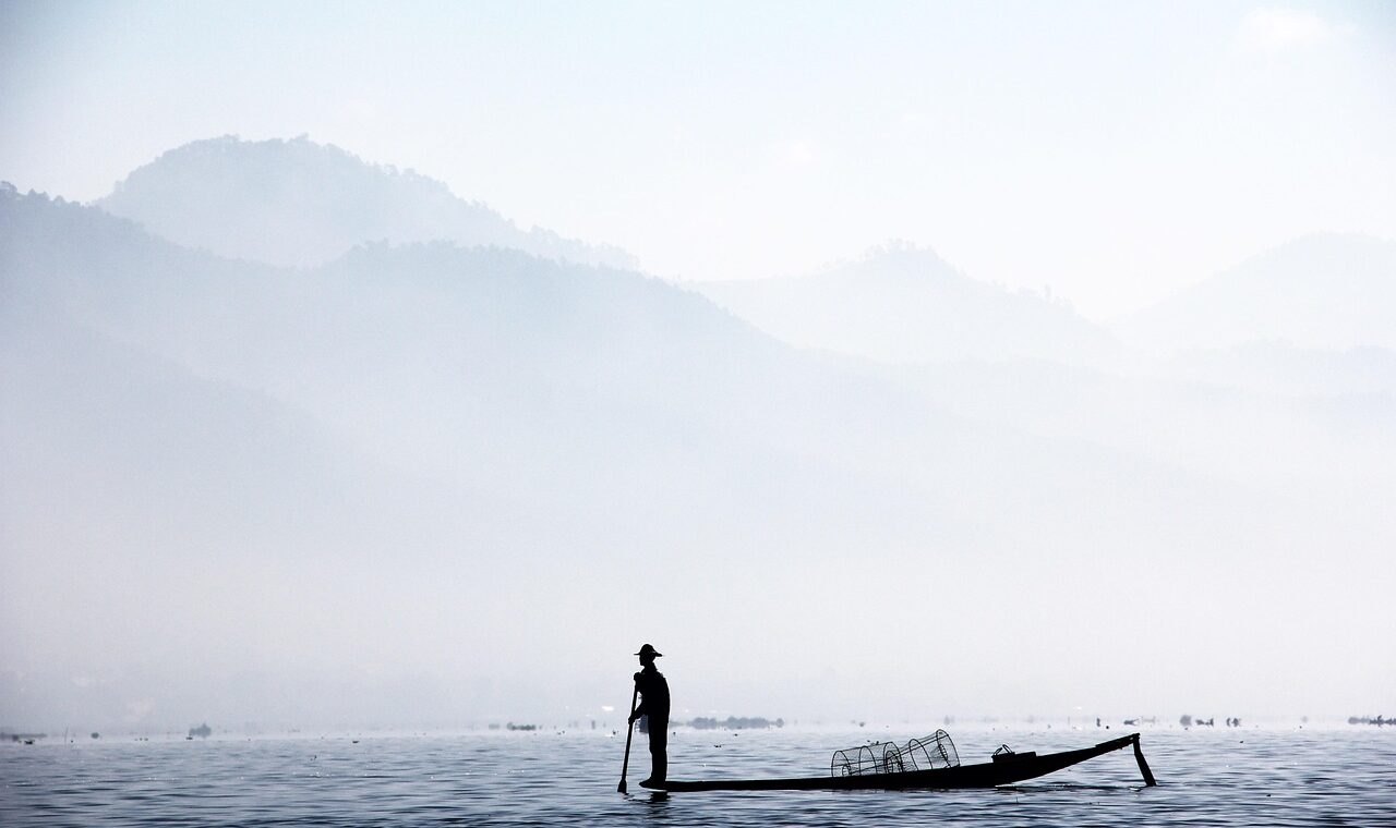 d&eacute;couvrez le rowing, un exercice complet pour muscler le dos, les bras et am&eacute;liorer votre endurance. parfait pour tous niveaux, il allie force et cardio.