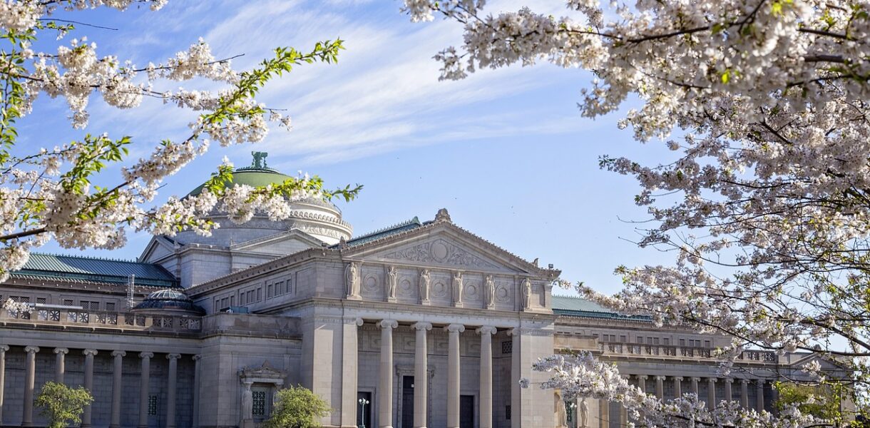 d&eacute;couvrez les meilleures destinations pour le tourisme au printemps, profitez des paysages fleuris, du climat agr&eacute;able et des activit&eacute;s de saison pour des vacances inoubliables.