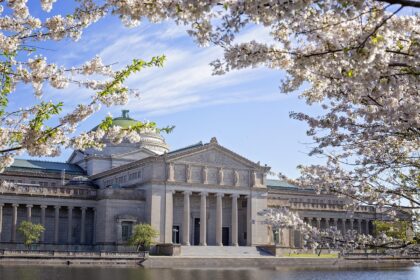 d&eacute;couvrez les meilleures destinations pour le tourisme au printemps, profitez des paysages fleuris, du climat agr&eacute;able et des activit&eacute;s de saison pour des vacances inoubliables.