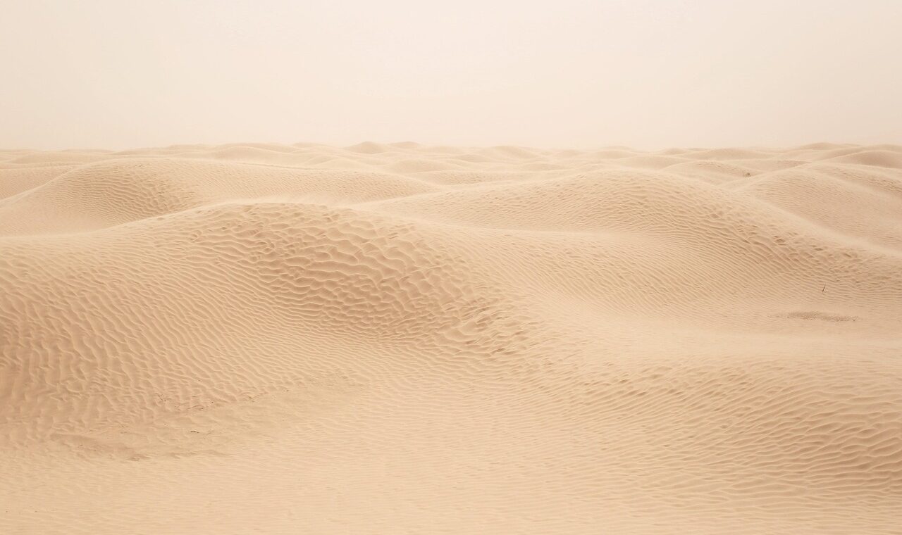 ambassade de tunisie &agrave; helsinki : informations pratiques, contacts, services consulaires et conseils pour les voyageurs tunisiens en finlande.