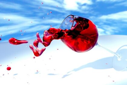 d&eacute;couvrez tout sur le vin : ses origines, ses diff&eacute;rents c&eacute;pages, conseils de d&eacute;gustation et accords mets-vins pour sublimer vos repas.