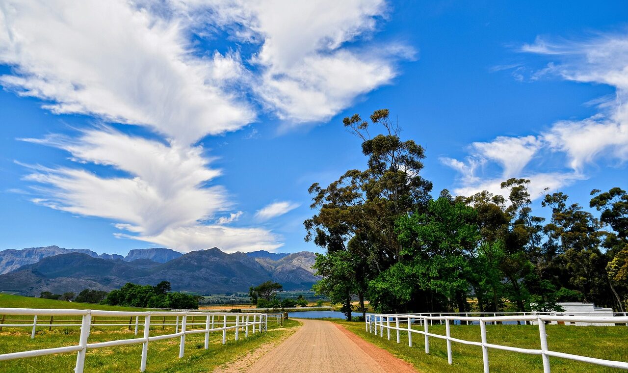 d&eacute;couvrez l'&oelig;notourisme : parcourez des vignobles pittoresques, participez &agrave; des d&eacute;gustations de vins et vivez une exp&eacute;rience authentique au c&oelig;ur des r&eacute;gions viticoles.
