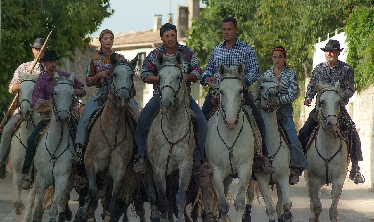 d&eacute;couvrez la camargue, ses paysages sauvages, sa faune unique et ses traditions authentiques lors d'une exploration inoubliable au c&oelig;ur de cette r&eacute;gion embl&eacute;matique du sud de la france.