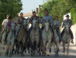 d&eacute;couvrez la camargue, ses paysages sauvages, sa faune unique et ses traditions authentiques lors d'une exploration inoubliable au c&oelig;ur de cette r&eacute;gion embl&eacute;matique du sud de la france.