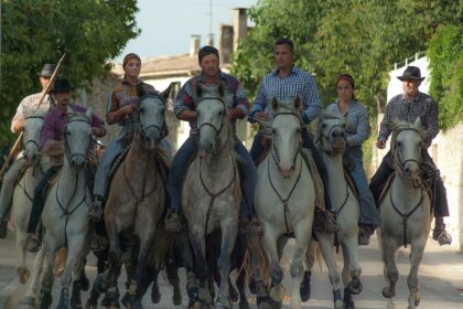 d&eacute;couvrez la camargue, ses paysages sauvages, sa faune unique et ses traditions authentiques lors d'une exploration inoubliable au c&oelig;ur de cette r&eacute;gion embl&eacute;matique du sud de la france.