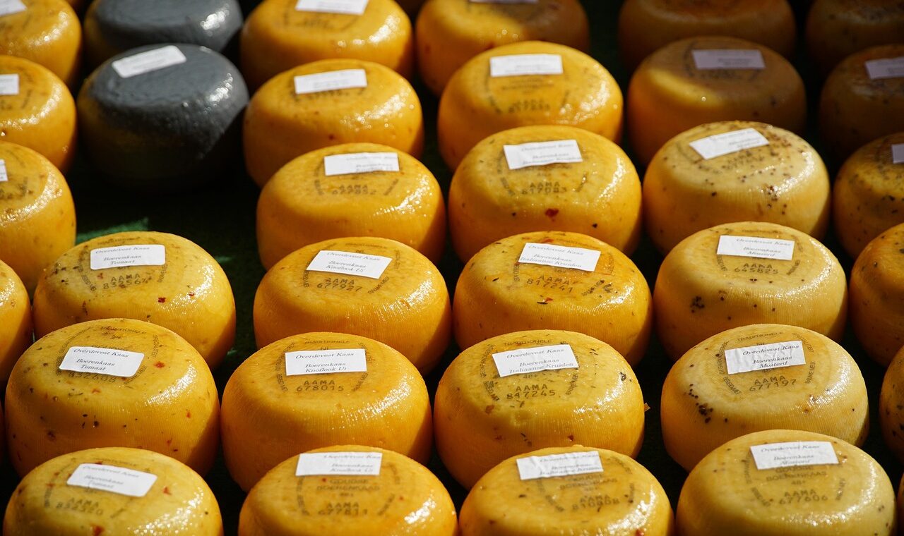 d&eacute;couvrez le cheese festival, une c&eacute;l&eacute;bration gourmande d&eacute;di&eacute;e aux amateurs de fromage avec d&eacute;gustations, ateliers et animations uniques.