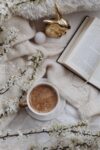 d&eacute;couvrez la cozy cr&ecirc;perie, un lieu chaleureux o&ugrave; d&eacute;guster des cr&ecirc;pes artisanales savoureuses dans une ambiance conviviale et cosy.