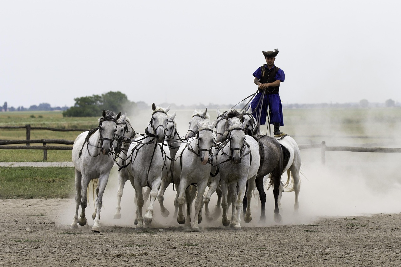découvrez notre événement culturel incontournable, riche en traditions, arts et spectacles pour tous les passionnés de culture.