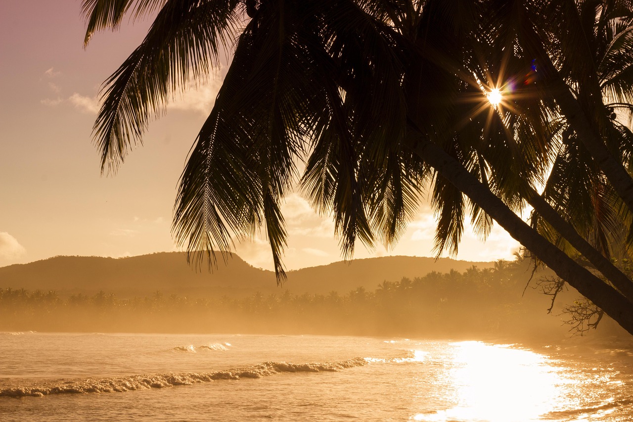 d&eacute;couvrez l'&icirc;le paradisiaque id&eacute;ale pour vos prochaines vacances, entre plages de sable fin et paysages naturels &eacute;poustouflants.
