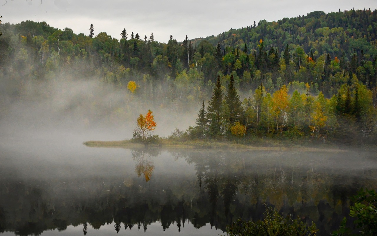 découvrez la plongée sous-marine en hiver au québec : une expérience unique au cœur des eaux glacées, entre paysages enchanteurs et sensations fortes garanties.