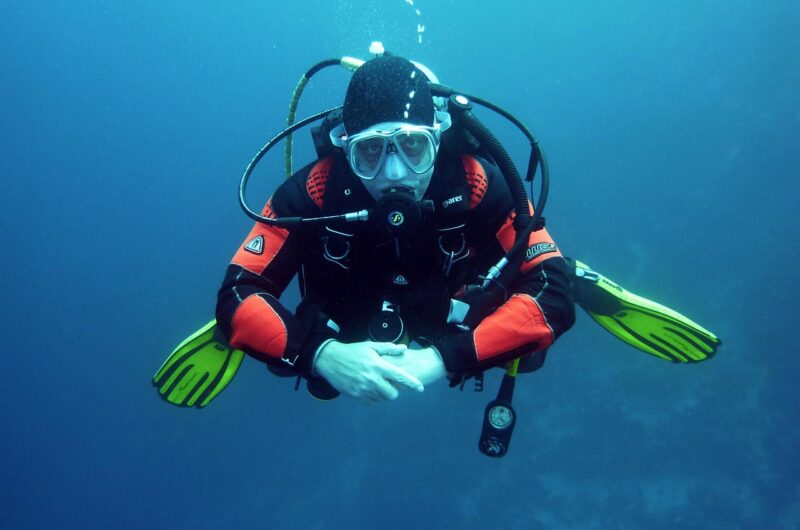 d&eacute;couvrez la plong&eacute;e sous-marine en hiver au qu&eacute;bec : une exp&eacute;rience unique dans les eaux glac&eacute;es, s&eacute;curitaire et fascinante pour les amateurs d'aventure.